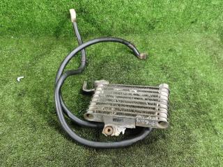 радиатор масляный Kia Carnival 1 поколение [рестайлинг] 2005, 2.9 л., CRDi, дизель, АКПП, минивэн