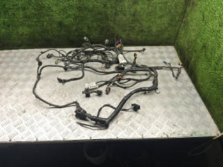 проводка двигателя Lada Vesta 1 поколение 2023, 1.6 л., бензин, МКПП, седан, 8450043341, 8450056684