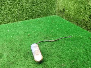 повторитель поворота на крыле левый Volkswagen Vento 1 поколение 1995, 1.6 л., бензин, МКПП, седан