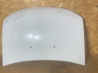 капот Renault Duster 1 поколение [рестайлинг] 2017, 2.0 л., бензин, МКПП, внедорожник 5 дв., полный привод