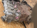 двигатель Fiat Tempra 1 поколение 1995, 1.4 л., 836 A4.000, бензин, МКПП, седан, 836A4000 - фото №6