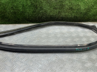 уплотнитель двери Renault Duster 1 поколение [рестайлинг] 2017, 2.0 л., бензин, МКПП, внедорожник 5 дв., полный привод