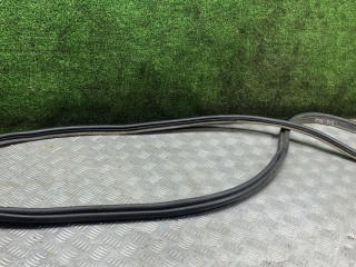 уплотнитель Renault Duster 1 поколение [рестайлинг] 2017, 2.0 л., бензин, МКПП, внедорожник 5 дв., полный привод