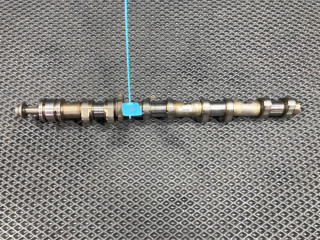 распредвал Audi A8 D3 [рестайлинг] 2006, 4.2 л., BVJ, бензин, седан, 079109102BH, 079109102CG