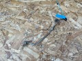 масляная трубка BMW 7 серия G11/G12 2017, 3.0 л., B57 D30 A, дизель, АКПП, седан, 8571783, 13628571783 - фото №3