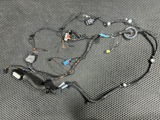 дверная проводка Audi S4 B9 [рестайлинг] 2021, 3.0 л., CWGD, бензин, АКПП, седан, 8W0971030DE, TAB010403EB