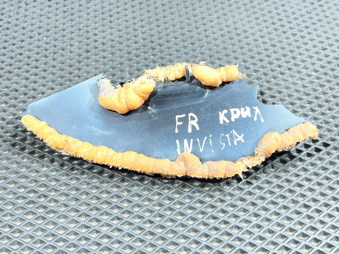 пыльник переднего крыла Buick Envista 1 поколение 2024, 1.2 л., бензин, АКПП, внедорожник 5 дв., 42787539 - фото №1