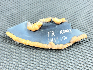 пыльник переднего крыла Buick Envista 1 поколение 2024, 1.2 л., бензин, АКПП, внедорожник 5 дв., 42787539