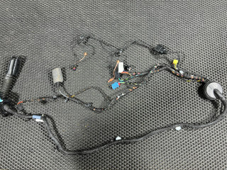 дверная проводка Audi S4 B9 [рестайлинг] 2021, 3.0 л., CWGD, бензин, АКПП, седан, 8W0971029DE, TAB010403EA