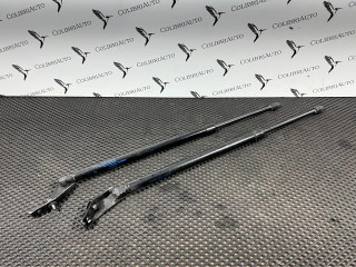амортизатор крышки багажника (3-5 двери) Nissan Rogue T33 2022, 1.5 л., KR15, бензин, АКПП, внедорожник 5 дв., 904506RR0B, 904516RR0B