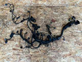 проводка двигателя Genesis G70 1 поколение 2019, 2.0 л., G4KL, бензин, АКПП, седан