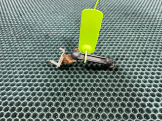 датчик дорожного просвета BMW 7 серия G11/G12 [рестайлинг] 2020, 4.4 л., бензин, АКПП, седан, 37146867905