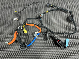 дверная проводка Genesis G70 1 поколение 2019, 2.0 л., G4KL, бензин, АКПП, седан, 91612G9450