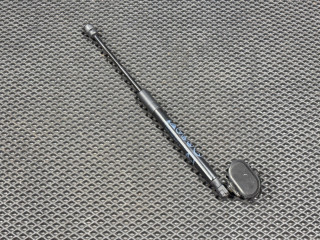 амортизатор стекла багажника Ford Bronco Sport 1 поколение 2021, 1.5 л., АКПП, M1PB7842105AC, M1PB7842104AC