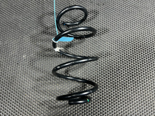 пружина передняя Buick Envista 1 поколение 2024, 1.2 л., бензин, АКПП, внедорожник 5 дв., 544540930, 42839709