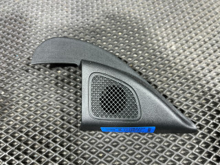 Накладка (сетка) динамика Hyundai Tucson 4 поколение 2024, 2.5 л., G4KN, бензин, АКПП, внедорожник 5 дв., 87661-CW000