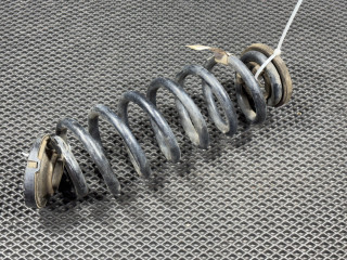 пружина задняя Ford Bronco Sport 1 поколение 2021, 1.5 л., бензин, АКПП, внедорожник 5 дв., LX61-5560-BNF, LX615B718BNB