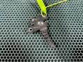 ручка открывания капота Jaguar XE 1 поколение X760 2016, 3.0 л., AJ 126, бензин, АКПП, седан, GX7316824AA, T4N3060 - фото №5