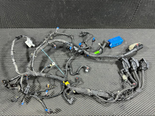 проводка двигателя Buick Envista 1 поколение 2024, 1.2 л., бензин, АКПП, внедорожник 5 дв., 42844318, 42901656