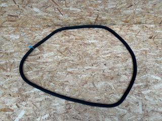 уплотнитель двери Ford Bronco Sport 1 поколение 2021, 1.5 л., бензин, АКПП, внедорожник 5 дв., M1PZ7820709-A