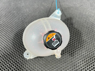 бачок расширительный Hyundai Tucson 4 поколение 2024, 2.5 л., G4KN, бензин, АКПП, внедорожник 5 дв., 25430-R5000