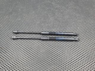 амортизатор стекла багажника Ford Bronco Sport 1 поколение 2020, 1.5 л., АКПП, M1PB7842105AB, M1PB7842104AB