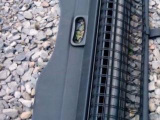 шторка багажника BMW 5 серия E39 2000, универсал