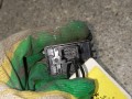 кнопка стеклоподъемника двери задней правой Renault Megane 3 поколение (2008 - 2014), универсал - фото №2
