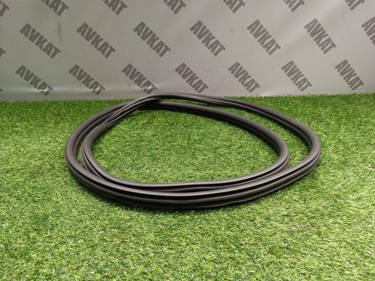 уплотнитель двери BMW X3 G01 2019, 2.0 л., B46 B20 B, бензин, a300, внедорожник 5 дв., полный привод, 51727468930, 7468930, 7393449 - фото №1