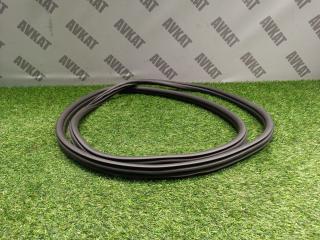 уплотнитель двери BMW X3 G01 2019, 2.0 л., B46 B20 B, бензин, a300, внедорожник 5 дв., полный привод, 51727468930, 7468930, 7393449