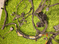 проводка BMW 5 серия G60/G61 2024, 2.0 л., b48b20s, бензин, АКПП, с4а, седан, полный привод, 61125B35754, 5B35754 - фото №8