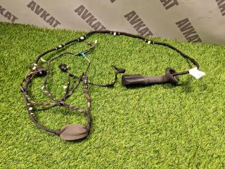 дверная проводка BMW X4 G02 [рестайлинг] G02 2024, 2.0 л., B46 B20 B, бензин, АКПП, a96, внедорожник 5 дв., полный привод, 61125A49005, 5A49005