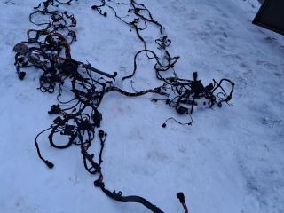 проводка салона BMW X4 G02 [рестайлинг] G02 2024, 2.0 л., B46 B20 B, бензин, АКПП, a96, внедорожник 5 дв., полный привод, 61112462617, 2462617, 61112462620, 2462620