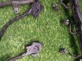 проводка двигателя BMW X7 G07 [рестайлинг] G07 2024, 3.0 л., B58B30P, бензин, АКПП, карбон шварц 416, полный привод, 5A2A789, 5A2A790, 12515A2A790 - фото №4