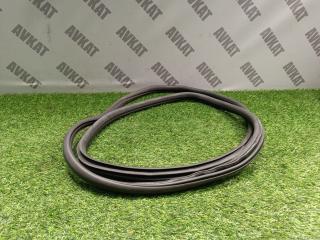 уплотнитель двери BMW X3 G01 2019, 2.0 л., B46 B20 B, бензин, a300, внедорожник 5 дв., полный привод, 51727468930, 7468930, 7393449