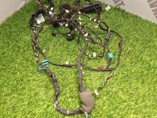 дверная проводка BMW 5 серия G30/G31 [рестайлинг] G30 2021, 2.0 л., B46 B20 B, бензин, 475, седан, полный привод, 61125A1C486, 5A1C486