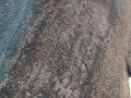защита арок задняя правая (подкрылок) BMW X5 G05 [рестайлинг] G05 2024, 3.0 л., B58B30P, бензин, АКПП, a300, внедорожник 5 дв., полный привод, 51717478758, 7478758 - фото №6