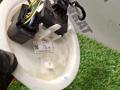 насос топливный BMW X7 G07 2022, 3.0 л., B58B30C, бензин, АКПП, a96, внедорожник 5 дв., полный привод, 7401428, 9468618, 16119468618 - фото №5