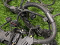 проводка двигателя BMW X5 G05 [рестайлинг] G05 2024, 3.0 л., B58B30P, бензин, АКПП, a300, внедорожник 5 дв., полный привод, 5A59434, 5A59433, 12515A59434 - фото №4