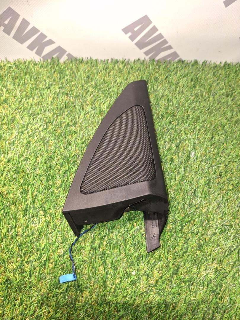 Накладка (сетка) динамика BMW X5 G05 2019, 3.0 л., B58B30C, бензин, 475, внедорожник 5 дв., полный привод, правый руль, 7445516, 51339460500, 9460500 - фото №1