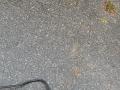 трубка топливная BMW X7 G07 2021, 3.0 л., B58B30C, бензин, АКПП, a96, внедорожник 5 дв., полный привод, 7439948, 16127439948 - фото №9