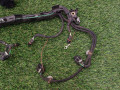 проводка BMW X7 G07 2021, 4.4 л., N63B44D, бензин, АКПП, c27 arktis-grau brillanteffekt, внедорожник 5 дв., полный привод, 12519895790, 9895790 - фото №4