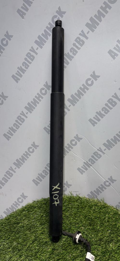 амортизатор крышки багажника (3-5 двери) BMW X5 G05 2019, 3.0 л., B58B30C, бензин, 475, внедорожник 5 дв., полный привод, правый руль, 7441799, 51247441799 - фото №1