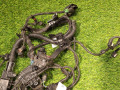 проводка двигателя BMW X3 G01 2020, 2.0 л., B46 B20 B, бензин, АКПП, blue, внедорожник 5 дв., полный привод, 12518482378, 8482378 - фото №5