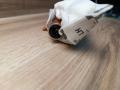 подушка безопасности сиденья BMW X5 G05 2019, 3.0 л., B58B30C, бензин, АКПП, a96, внедорожник 5 дв., полный привод, 7483703, 72127483703 - фото №3