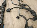 проводка двигателя BMW X5 G05 [рестайлинг] G05 2023, 3.0 л., B58B30P, бензин, АКПП, 475, внедорожник 5 дв., полный привод, 5A2A789, 5A2A790, 12515A2A790 - фото №7