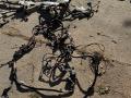 проводка BMW X7 G07 2021, 3.0 л., B58B30C, бензин, АКПП, a96, внедорожник 5 дв., полный привод, 61112469067, 2469067, 61112469070, 2469070 - фото №14