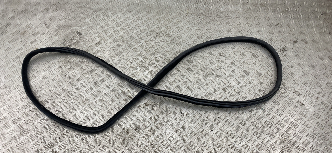 уплотнитель двери BMW X5 F15 2018, 3.0 л., N57 D30 A, дизель, АКПП, carbonschwarz metallic (416), внедорожник 5 дв., полный привод, правый руль, 7289639 - фото №1