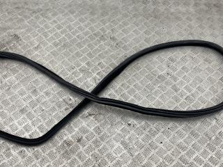 уплотнитель двери BMW X5 F15 2018, 3.0 л., N57 D30 A, дизель, АКПП, carbonschwarz metallic (416), внедорожник 5 дв., полный привод, правый руль, 7289639