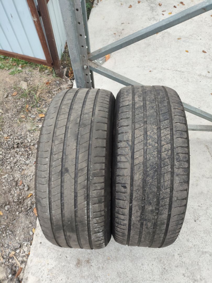 шина - фото №1